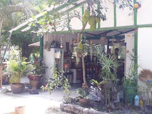 Back of resto at Green Gallery in Koh Phangan