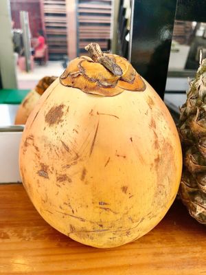 King coconut  at Tropicool Acai and Superfoods - The Beach in Dubai