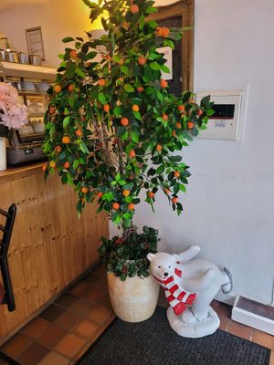 Jasmine Inside at Jasmine in Bangor