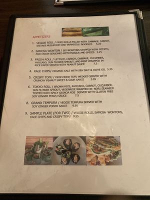 Appetizer menu at Red Curry Vegan Kitchen in Flagstaff