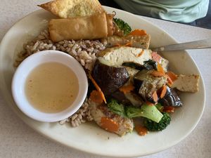 Eggplant basil curry at Red Curry Vegan Kitchen in Flagstaff