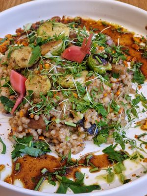 Barley risotto at Planted Bistro by Ars Culinaria in Kemptthal