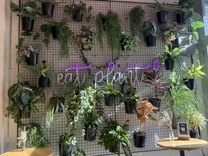   at Planted Bistro by Ars Culinaria in Kemptthal