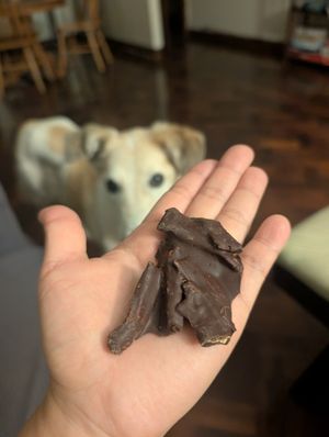 Mango covered with dark chocolate at Zahu's Chocolates in Nairobi