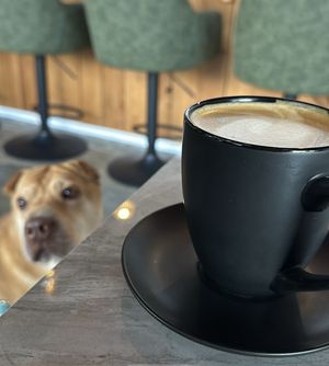 Black truffle latte   at MangiaFoglie  in Long Beach