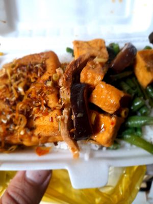 My take away vegan food at Chay Vegan in Ho Chi Minh City