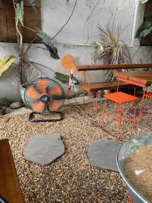 Fan!  at O Plant-based - Thu Duc - Tiệm thuần chay O in Ho Chi Minh City