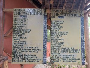 The lodge keeps records of the animal visitors 🙂 at Satao Camp in Tsavo