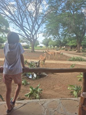 From the lounge at Satao Camp in Tsavo