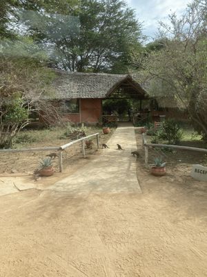 Reception  at Satao Camp in Tsavo