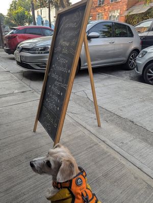  at Karma Vegano in Mexico City