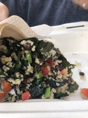 Protein raw wrap  at Raw Juice Bar in Orlando