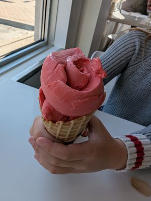 Raspberry sorbet with a waffle cone!! at Juice Dudez in Ottawa
