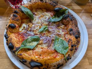  at Veganoven in Erlangen