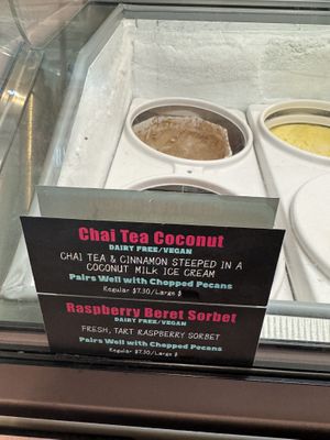 Vegan ice cream and sorbet  at HOU - Fat Cat Creamery - Gate 27  in Houston