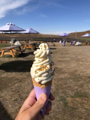 Non-dairy lavender ice cream (I eat honey, so this was the vegan lavender ice cream with honeycomb and bee pollen)  at NZ Alpine Lavender in Twizel