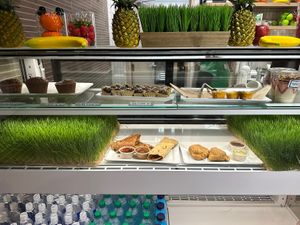   at ABQ - Rush of Prana - Past Security in Albuquerque