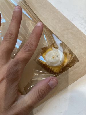 Cheesecake bite  at ABQ - Rush of Prana - Past Security in Albuquerque