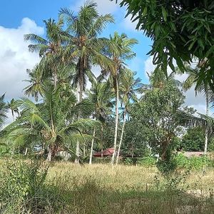 Giria Village Lounge at Giriama Village Lounge in Mombasa