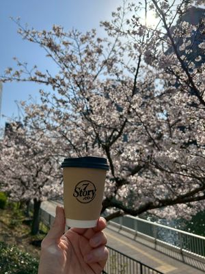  at 7Story.co in Osaka