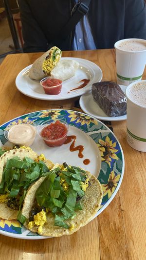   at The Sentient Bean in Savannah