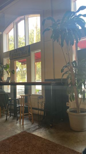   at The Sentient Bean in Savannah