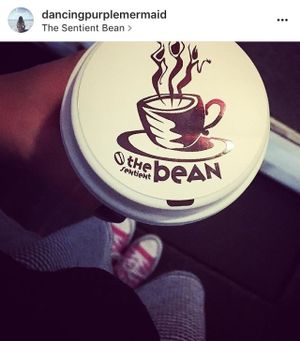 Coffee with almond milk was my dessert at The Sentient Bean in Savannah