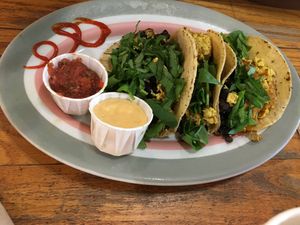 Vegan breakfast taco  at The Sentient Bean in Savannah