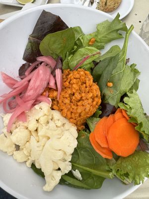 Malibu barley  at Ada's Technical Books and Cafe in Seattle