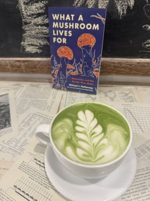   at Ada's Technical Books and Cafe in Seattle