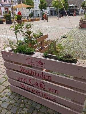  at Buchladen und Café am Münsterplatz in Bramsche