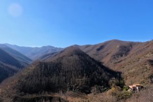B&B Colle Della Luna, immersed in nature, next to the Alpe Della Luna at Colle Della Luna - Vegan B&B in Borgo Pace