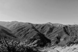B&B Colle Della Luna, immersed in nature, next to the Alpe Della Luna at Colle Della Luna - Vegan B&B in Borgo Pace