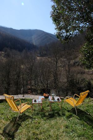 Enjoy fresh fruit and veggies straight from the land (in the future), the view next to Appartamento Il Lucherino at Colle Della Luna - Vegan B&B in Borgo Pace