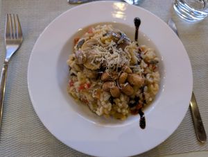  at Colle Della Luna - Vegan B&B in Borgo Pace