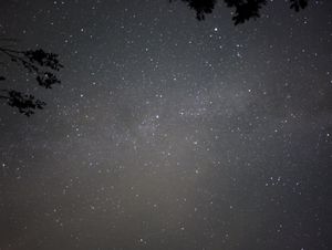  at Colle Della Luna - Vegan B&B in Borgo Pace