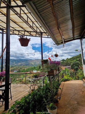 Terrasse at Midori Coffee Farm in Lam Dong