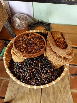 Kaffee der Farm, Kaffeetour at Midori Coffee Farm in Lam Dong