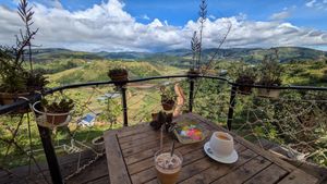  at Midori Coffee Farm in Lam Dong