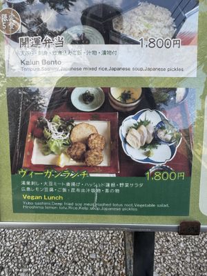 The Vegan option close up  at Restaurant Oomoto in Miyajima