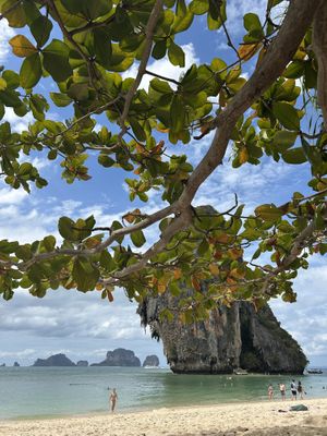 Forgot to take a picture of the lunch somehow, but this is where we ate it...  at D'oasis Cafe' at Railay Beach in Krabi