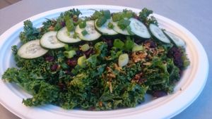 coconut kale salad (full order) at Simply Pure in Las Vegas