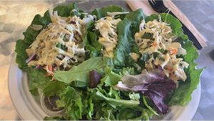 Chickun salad wrap with salad at Simply Pure in Las Vegas