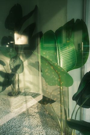  at Greenhouse Takeaway  in Plochingen