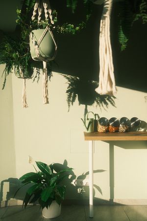  at Greenhouse Takeaway  in Plochingen