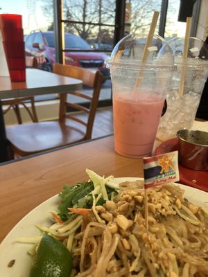   at Cat House Chiangmai in Kingston