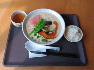 Vegan miso ramen at Inasaku - 頂氣麺専門店 稲作 in Kumamoto