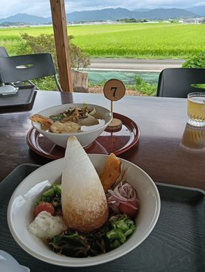 Vegetarian cold noodle and vegan ramen at Inasaku - 頂氣麺専門店 稲作 in Kumamoto