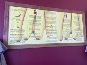   at Blissful Banana Cafe in Orland Park