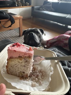 Absolutely delicious   at Candied Bakery in Spotswood